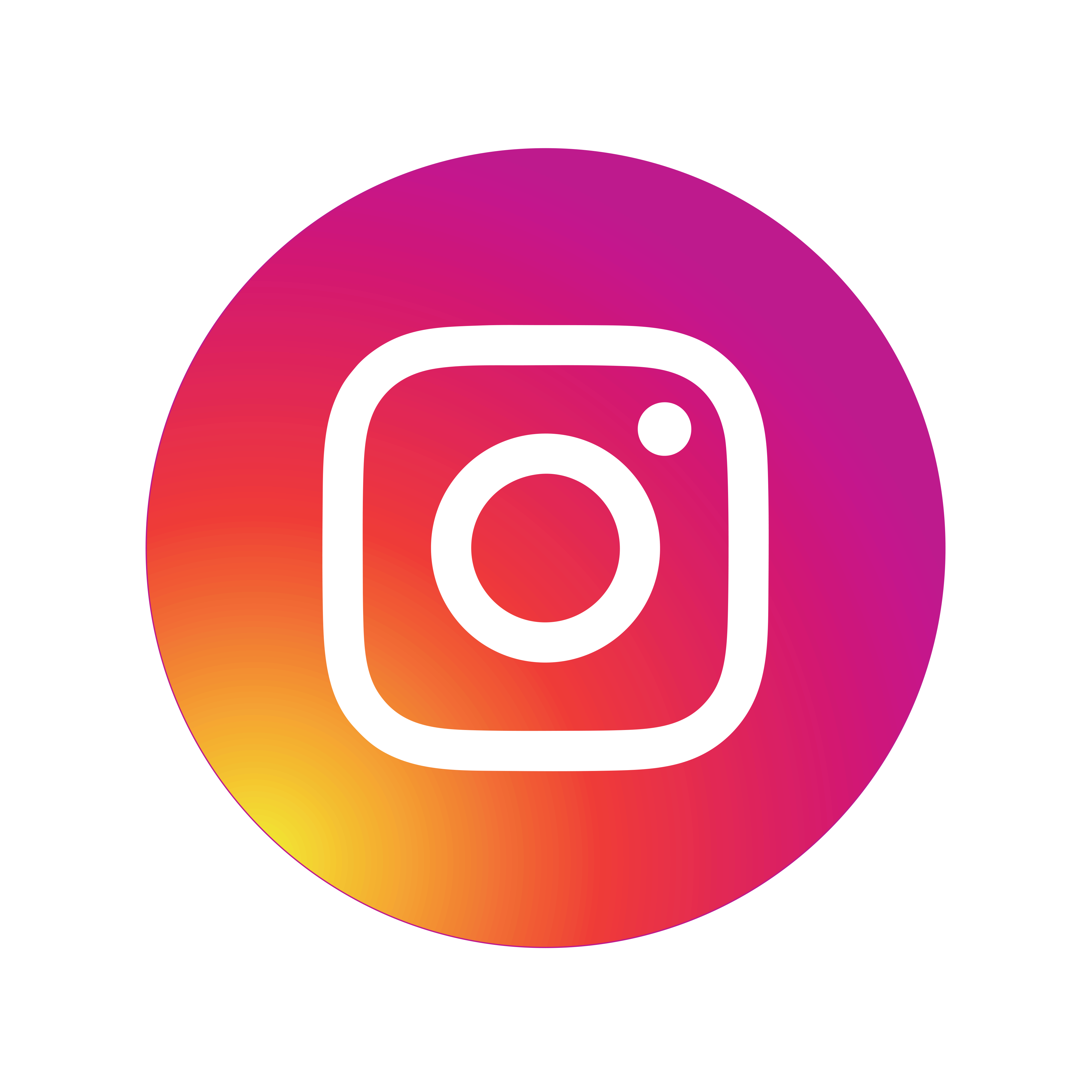 Instagram icon