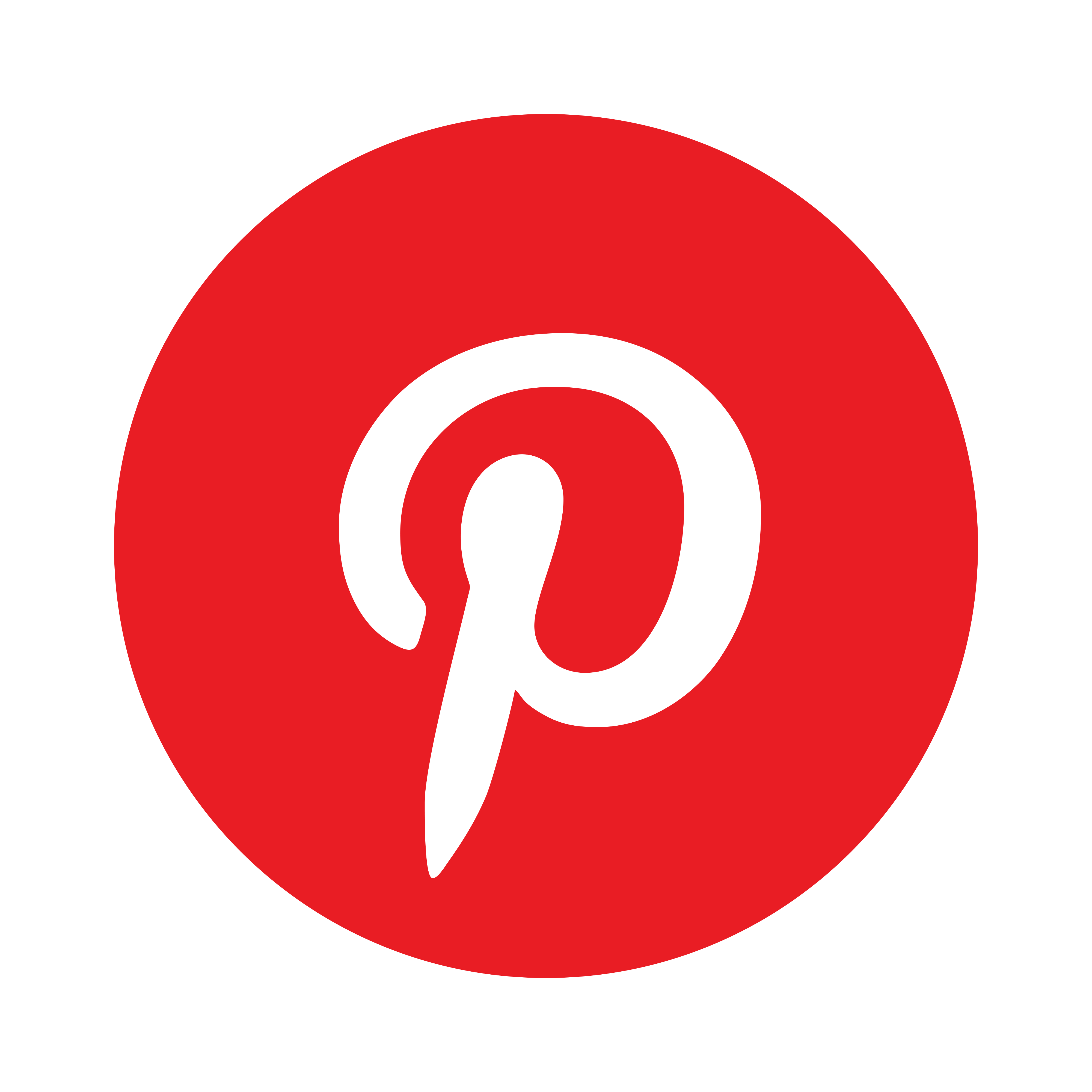 Pinterest icon